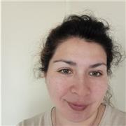 Profesora de Lenguaje da clases particulares a desde quinto básico a cuarto medio